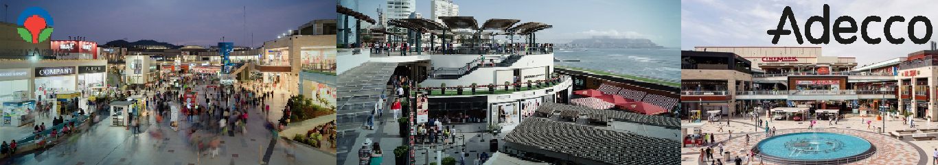 Imagen del encabezado que representa el diseño corporativo